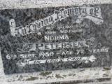 image of grave number 311047